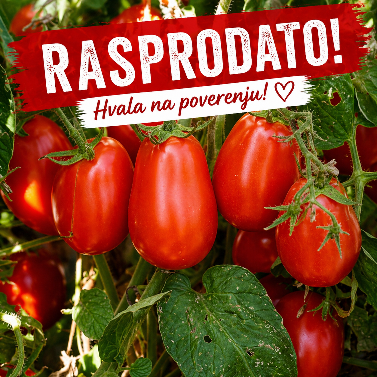 Šljivar RASPRODATO